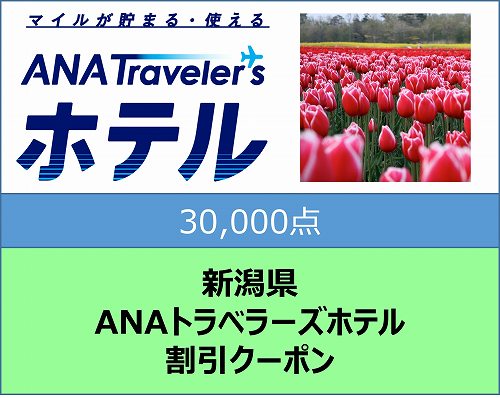 新潟県ANAトラベラーズホテル割引クーポン（30000点）