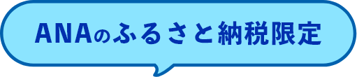 ANAのふるさと納税限定