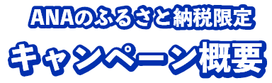 ANAのふるさと納税限定キャンペーン概要