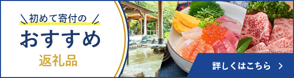 初めて寄付のおすすめ返礼品