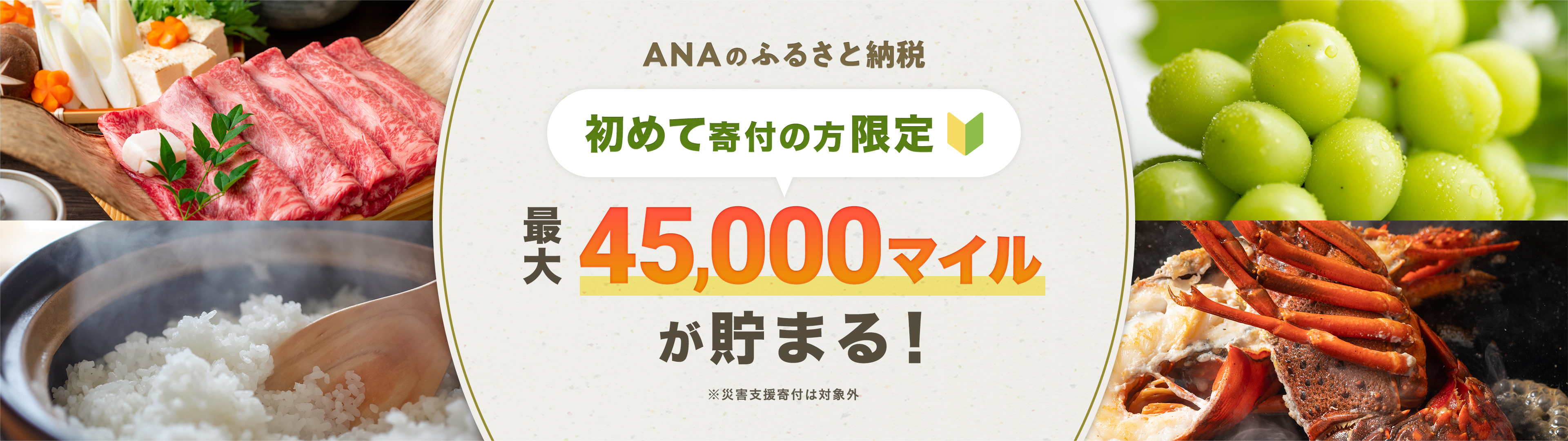 ANAのふるさと納税 初めて寄付の方限定 最大45,000マイルが貯まる!※災害支援寄付は対象外