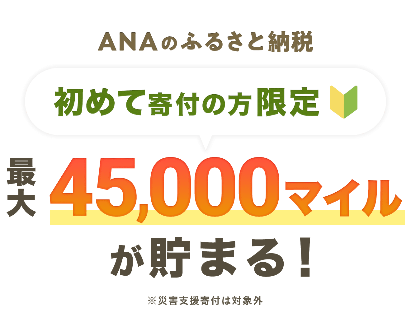 ANAのふるさと納税 初めて寄付の方限定 最大45,000マイルが貯まる!※災害支援寄付は対象外