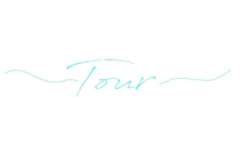 グランドハンドリングツアーbyANAふるさと納税