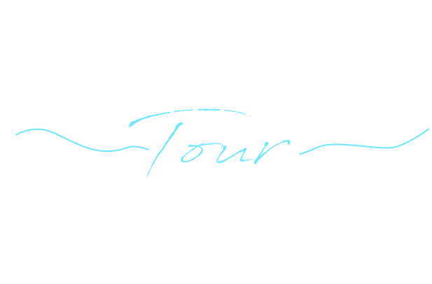 グランドハンドリングツアーbyANAふるさと納税