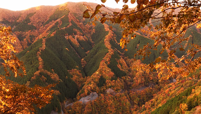 奈良県 上北山村