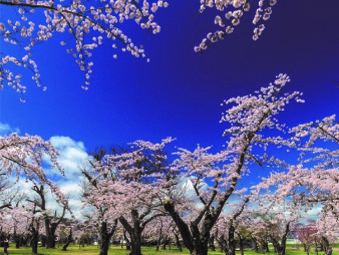 北海道森町