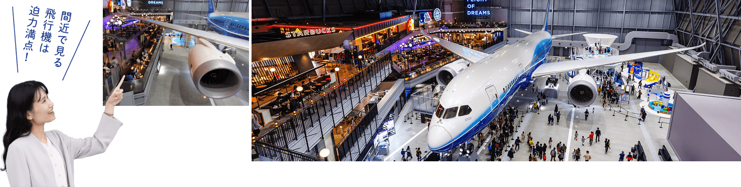 フライト・オブ・ドリームズ