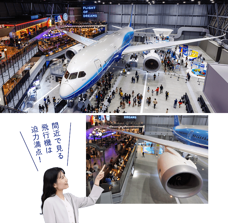 フライト・オブ・ドリームズ