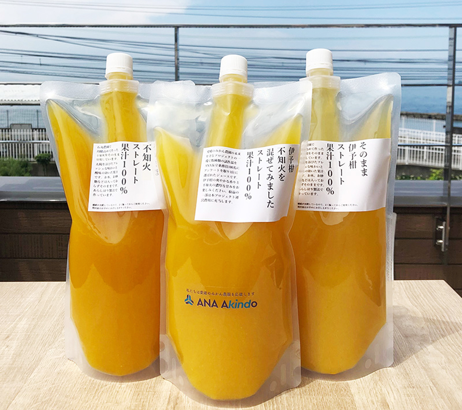 果汁100％ジュースセット