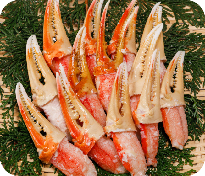 訳ありボイルズワイカニ爪カット