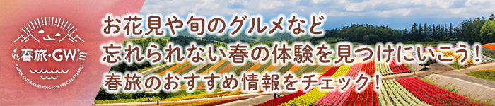 最大９連休の年末年始 おすすめ旅の過ごし方をチェック