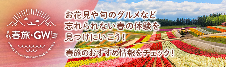 最大９連休の年末年始 おすすめ旅の過ごし方をチェック