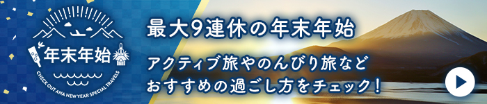 最大９連休の年末年始 おすすめ旅の過ごし方をチェック