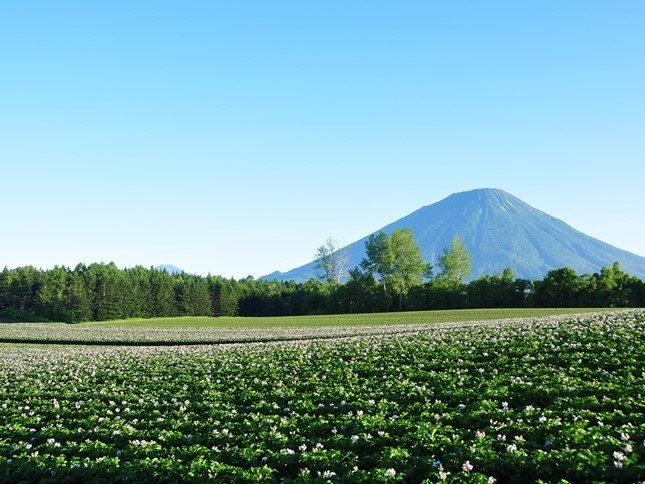 北海道留寿都村