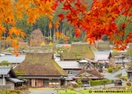 京都府南丹市