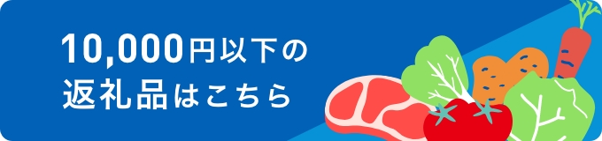 10,000円以下の返礼品はこちら