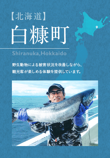 【北海道】　白糠町　Shiranuka,Hokkaido 野生動物による被害状況を改善しながら、観光客が楽しめる体験を提供しています。 