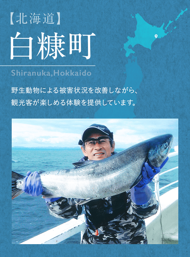 【北海道】　白糠町　Shiranuka,Hokkaido 野生動物による被害状況を改善しながら、観光客が楽しめる体験を提供しています。
