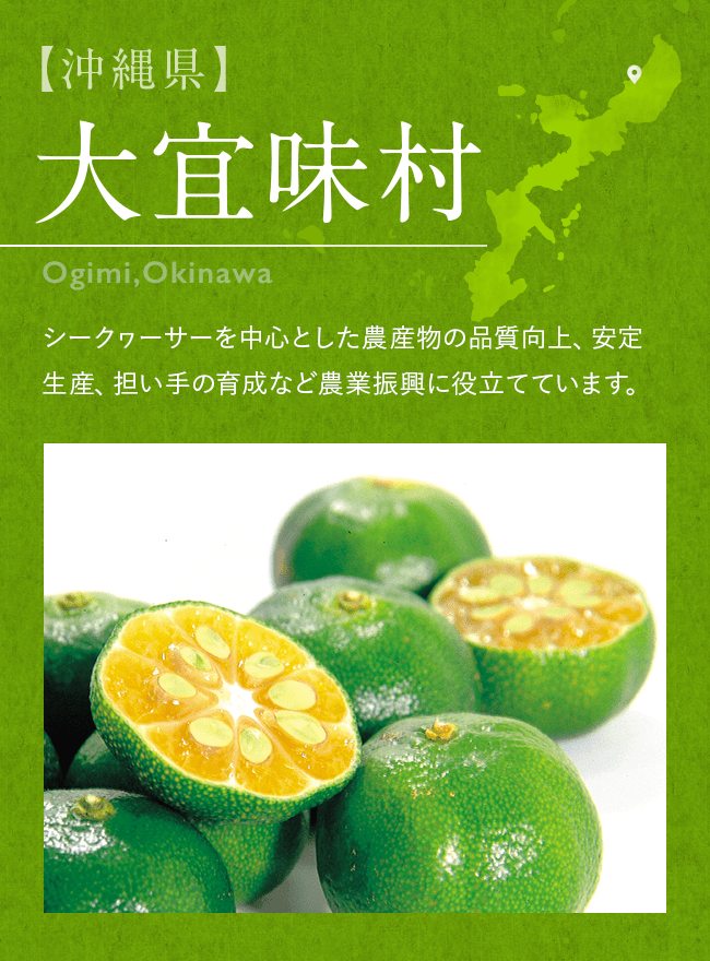 【沖縄県】 大宜味村 Ogimi,Okinawa  シークヮーサーを中心とした農産物の品質向上、安定生産、担い手の育成など農業振興に役立てています。