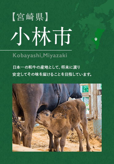 【宮崎県】 小林市 Kobayashi,Miyazaki 日本一の和牛の産地として、将来に渡り安定してその味を届けることを目指しています。
