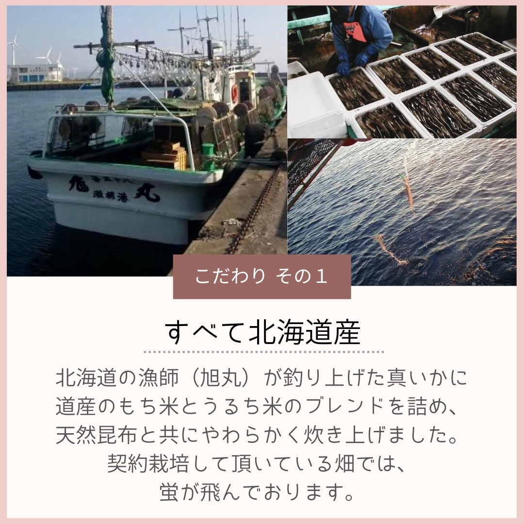 漁師のいかめし　2個入×3パック F6S-582