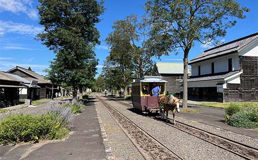 歴史と文化の北海道3館共通券 一般1名様分と北海道地域限定旅行クーポン15,000円分（Eメール発行） 人気 おすすめ 利用券 チケット  F6S-521
