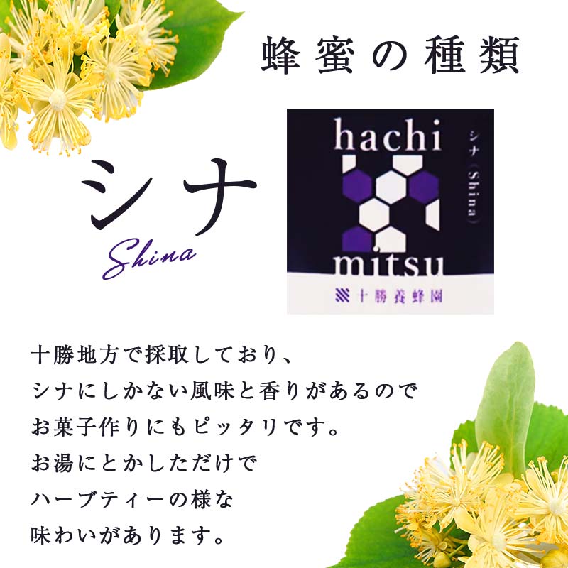 【北のハイグレード2024】シナ(菩提樹)蜂蜜160g×1 F6S-471