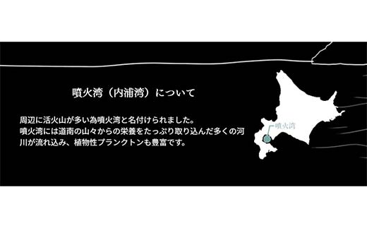 「カムイ・ミンタルの塩」淡雪瓶入り(50g)×20個 北のハイグレード2023 F6S-359