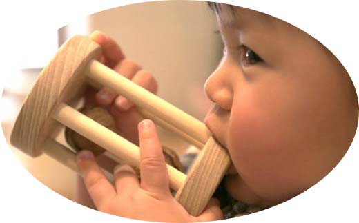 【ＫＥＭ】クルミコロコロL HOKKAIDO WOOD 木製 おもちゃ オモチャ 自然 子供 子ども こども プレゼント F6S-435