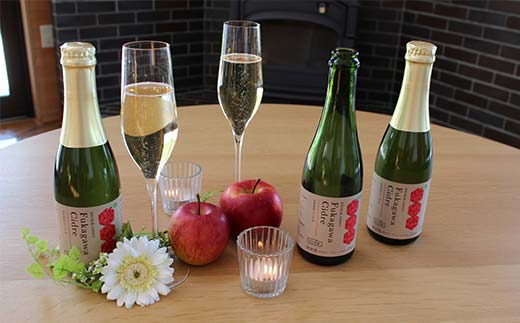 ふかがわシードル375ml 3本セット 北のハイグレード食品 北海道 深川 国産シードル 林檎のお酒 りんご酒 果実酒 おしゃれギフト プレゼント お取り寄せ クラフトシードル スパークリングシードル F6S-517