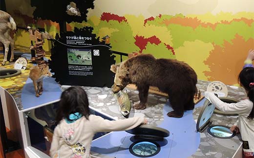 歴史と文化の北海道3館共通券 一般1名様分と北海道地域限定旅行クーポン15,000円分（Eメール発行） 人気 おすすめ 利用券 チケット  F6S-521