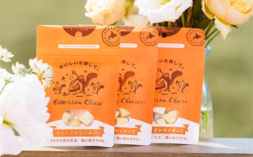 フリーズドライチーズ10点セット 北のハイグレード食品 おつまみ 詰め合わせ 珍味 スナック 保存食 グルメ F6S-532