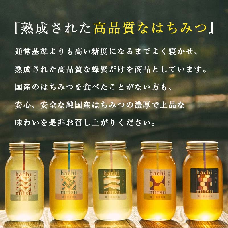 【北のハイグレード2024】シナ(菩提樹)蜂蜜300g×1 F6S-472