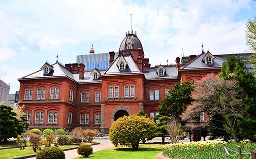 歴史と文化の北海道3館共通券 一般2名様分と北海道地域限定旅行クーポン15,000円分（Eメール発行） 人気 おすすめ 利用券 チケット  F6S-522