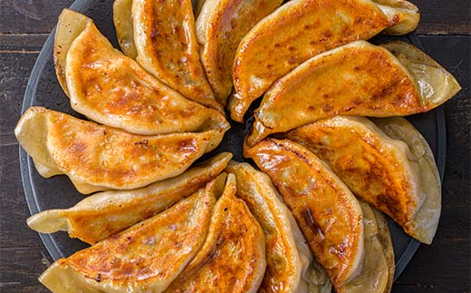 千歳高校と天のびろくがコラボ！さけみそ餃子 3箱セット F6S-056