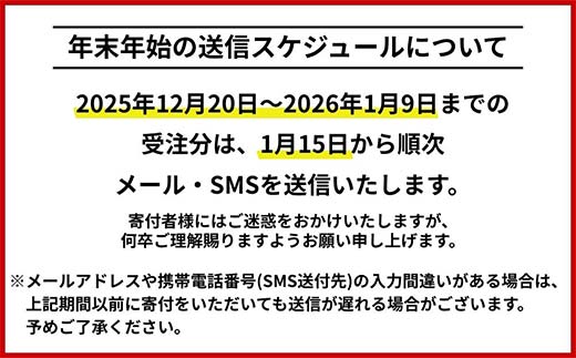 北海道 日本旅行 地域限定旅行クーポン300,000円分(Eメール発行) チケット 旅行 宿泊券 ホテル 観光 旅行 旅行券 交通費 体験  宿泊 夏休み 冬休み  F6S-346