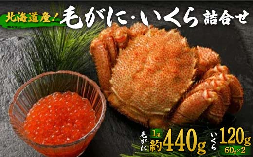 北海道産！毛がに・いくら詰合せ F6S-536