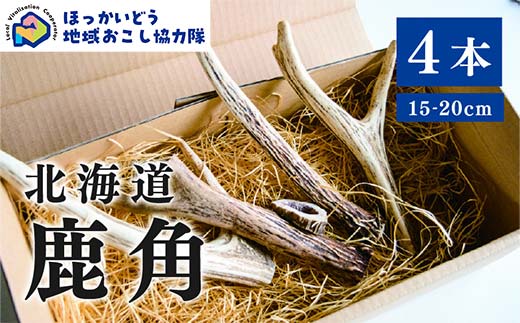 北海道湧別町産 鹿角（15～20cm） 4本 地域おこし協力隊関連返礼品  F6S-224