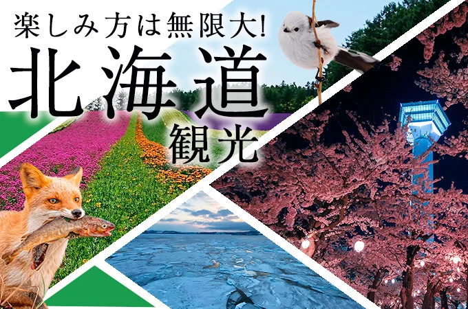 ふるさと納税で北海道へ旅行へ行こう！