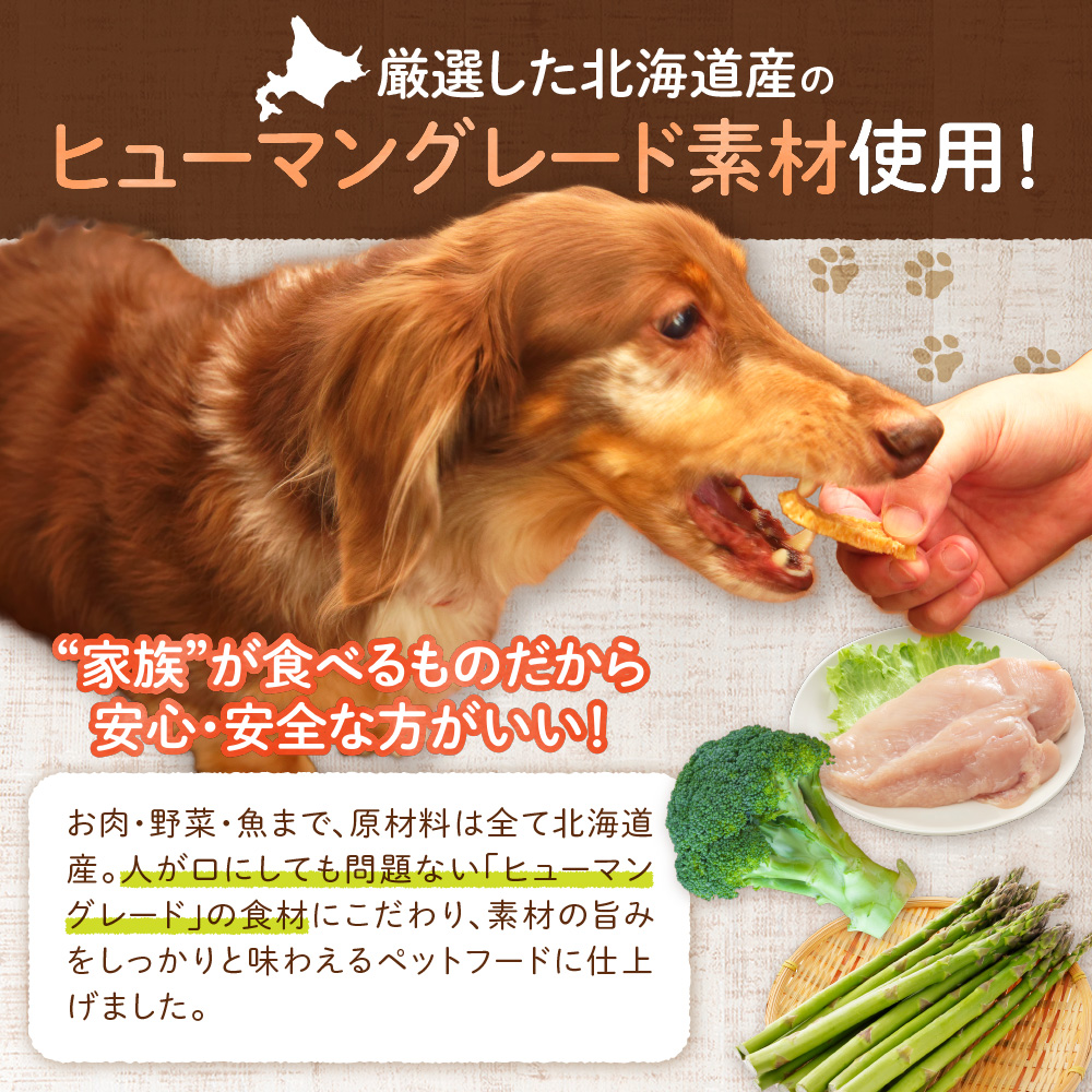 ワンちゃん大喜び！北海道産地鶏と野菜の完全無添加ジャーキーセット（10種類×2袋）