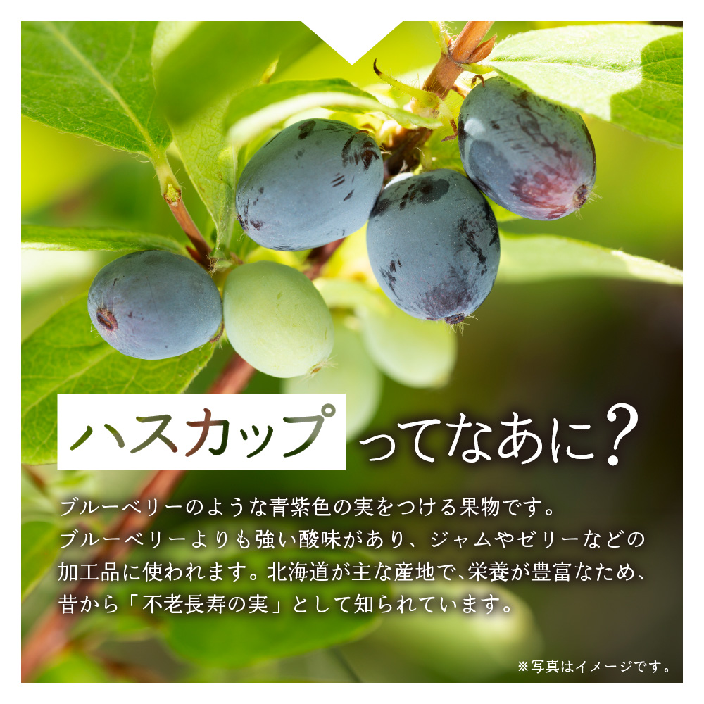 い・ろ・は・す ハスカップ　540mlPET×48本