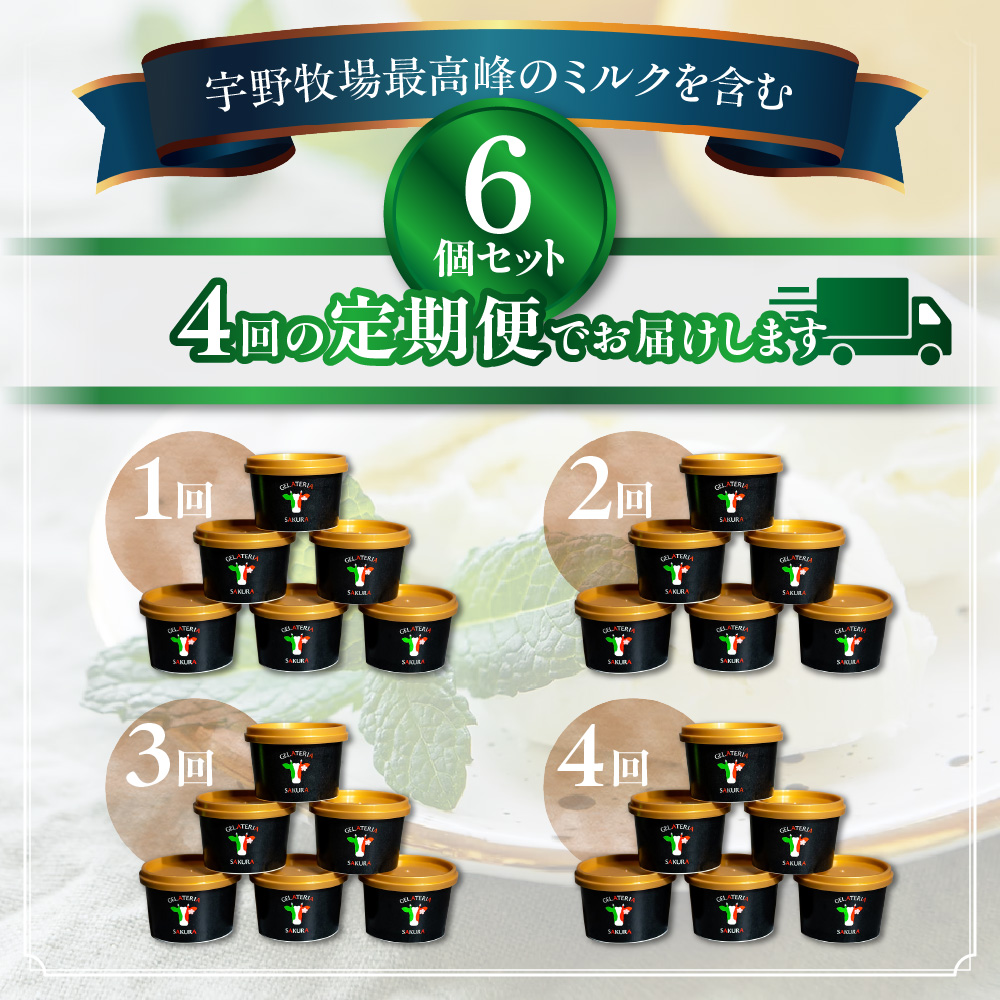 【定期便】幸せな牛のミルクからできたジェラート パティシエおまかせ6個セット×4回