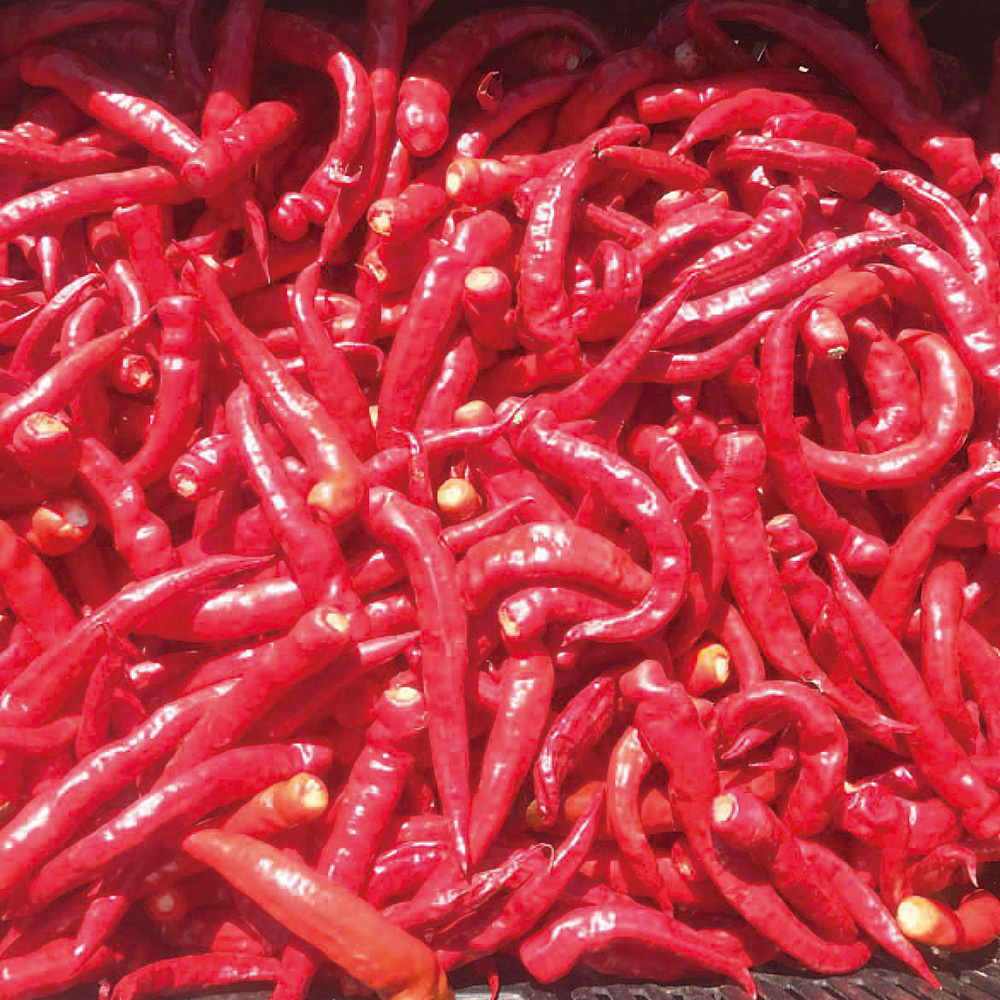 辛いラーメン14　《冷凍》辛醤油【14倍】 2食セット