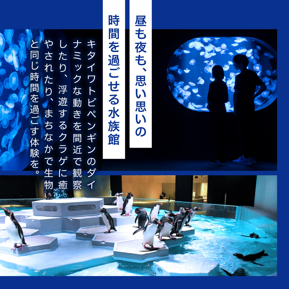 AOAO SAPPORO 入館券