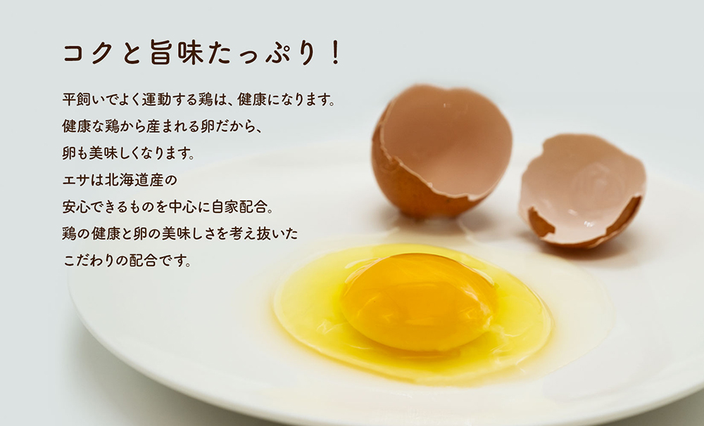 【12か月定期便】永光農園の平飼い有精卵　35個+割れ保証5個