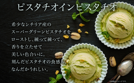 ジェラート ピスタチオインピスタチオ 500ml×2個