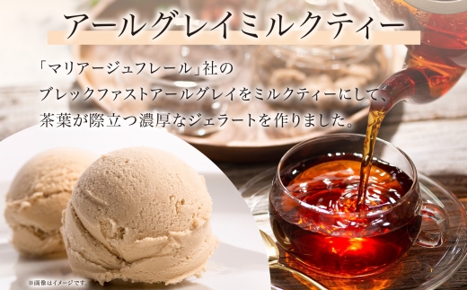 ジェラート アールグレイミルクティー 500ml×2個