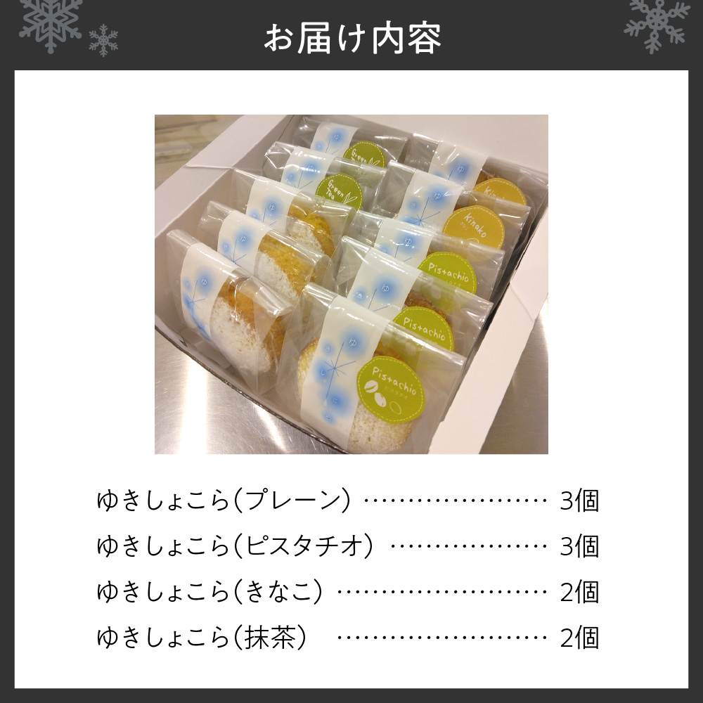 ゆきしょこら（オススメセット）10個入り