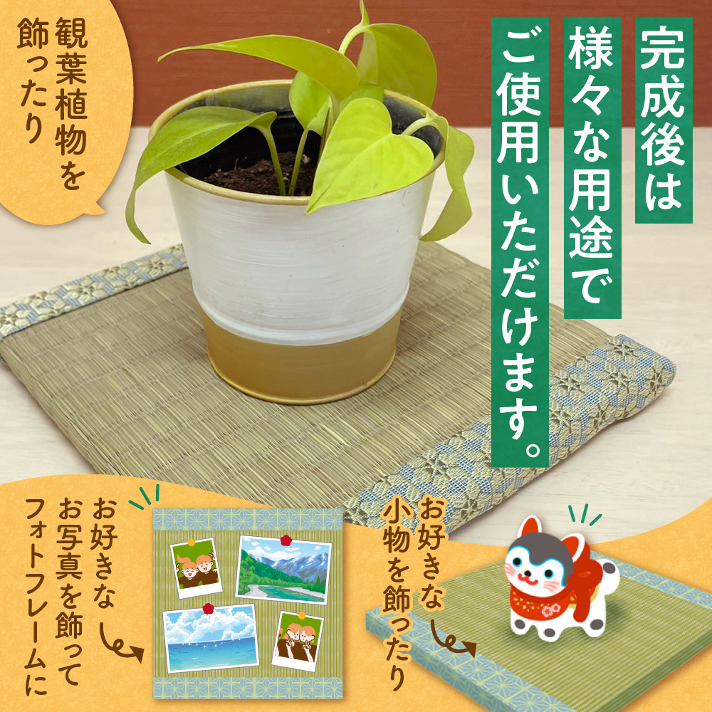 豆畳製作キット