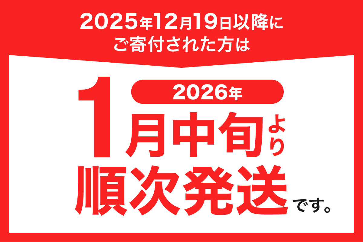 951アイスクリーム　6個セット